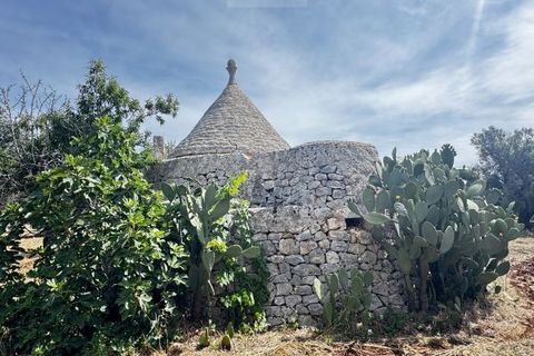 Terra a Carovigno, Brindisi, Carovigno - € 75.000 | Ref: tr6 - foto 9