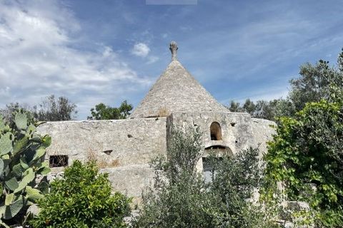 Terra a Carovigno, Brindisi, Carovigno - € 75.000 | Ref: tr6 - foto 4