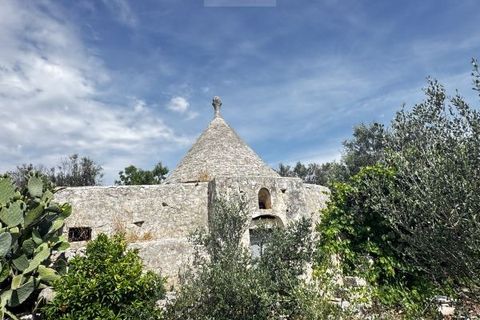 Terra a Carovigno, Brindisi, Carovigno - € 75.000 | Ref: tr6 - foto 26