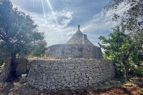 Terra a Carovigno, Brindisi, Carovigno - € 75.000 | Ref: tr6 - foto 13