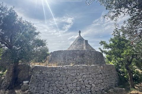 Terra a Carovigno, Brindisi, Carovigno - € 75.000 | Ref: tr6 - foto 8
