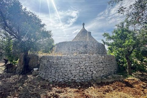Terra a Carovigno, Brindisi, Carovigno - € 75.000 | Ref: tr6 - foto 11