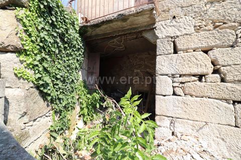 Villa i Mangualde, Viseu, Mangualde - € 95.000 | Ref: 389260109 - foto 15