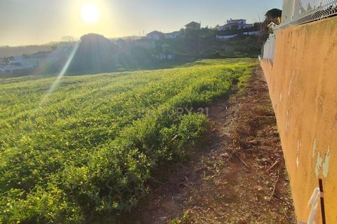 Helårsgrund i Torres Vedras, Lisbon, Torres Vedras - € 152.500 | Ref: C0184-01287 - foto 5