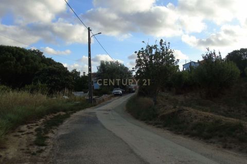 Helårsgrund i Torres Vedras, Lisbon, Torres Vedras - € 152.500 | Ref: C0184-01287 - foto 8