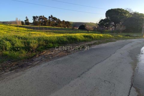 Helårsgrund i Torres Vedras, Lisbon, Torres Vedras - € 152.500 | Ref: C0184-01287 - foto 10