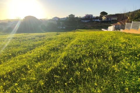 Helårsgrund i Torres Vedras, Lisbon, Torres Vedras - € 152.500 | Ref: C0184-01287 - foto 11