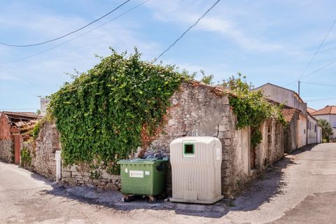 Villa i Alqueidao da Serra, Leiria, Alqueidao da Serra - € 55.000 | Ref: CV11017-1 - foto 5