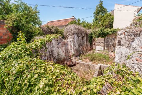 Villa i Alqueidao da Serra, Leiria, Alqueidao da Serra - € 55.000 | Ref: CV11017-1 - foto 9