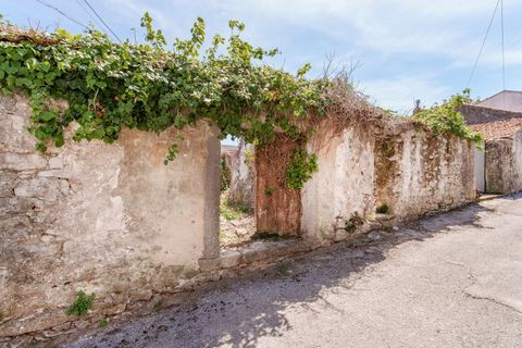 Villa i Alqueidao da Serra, Leiria, Alqueidao da Serra - € 55.000 | Ref: CV11017-1 - foto 2