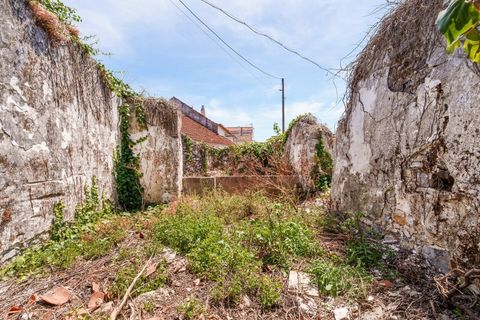 Villa i Alqueidao da Serra, Leiria, Alqueidao da Serra - € 55.000 | Ref: CV11017-1 - foto 11