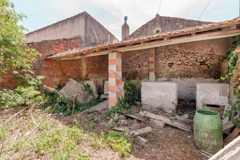 Villa i Alqueidao da Serra, Leiria, Alqueidao da Serra - € 55.000 | Ref: CV11017-1 - foto 13