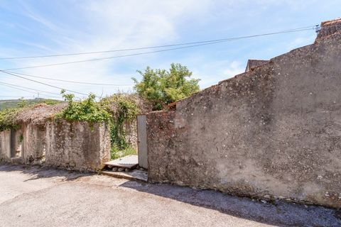 Villa i Alqueidao da Serra, Leiria, Alqueidao da Serra - € 55.000 | Ref: CV11017-1 - foto 14