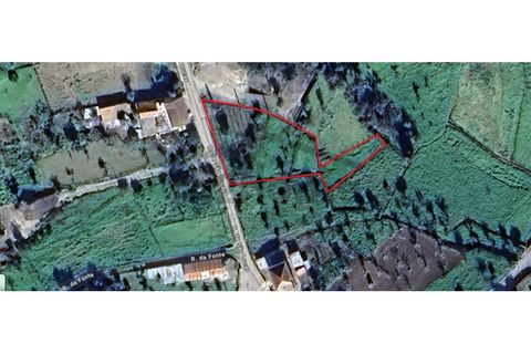 Helårsgrund i Serta, Castelo Branco, Serta - € 39.000 | Ref: m2H1106 - foto 1