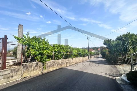 Helårsgrund i Serta, Castelo Branco, Serta - € 39.000 | Ref: m2H1106 - foto 2