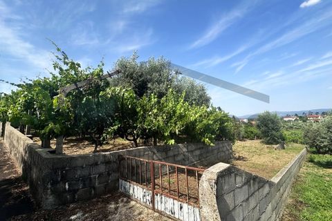 Helårsgrund i Serta, Castelo Branco, Serta - € 39.000 | Ref: m2H1106 - foto 3