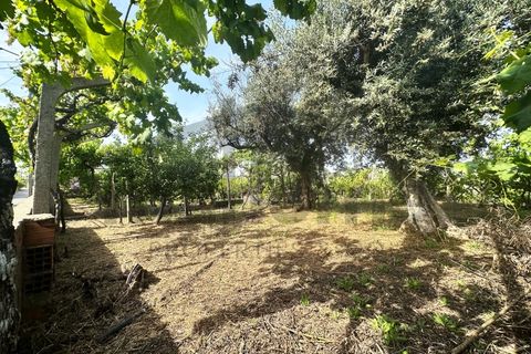 Helårsgrund i Serta, Castelo Branco, Serta - € 39.000 | Ref: m2H1106 - foto 4
