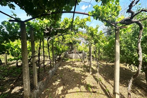 Helårsgrund i Serta, Castelo Branco, Serta - € 39.000 | Ref: m2H1106 - foto 5