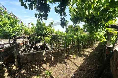 Helårsgrund i Serta, Castelo Branco, Serta - € 39.000 | Ref: m2H1106 - foto 6