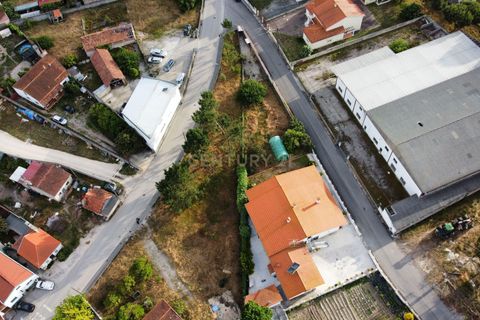 Helårsgrund i Alcobaca, Leiria, Alcobaca - € 65.000 | Ref: 1746-02839 - foto 4