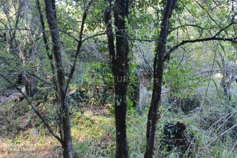 Helårsgrund i Leiria, Leiria, Leiria - € 80.000 | Ref: 1746-01384 - foto 5