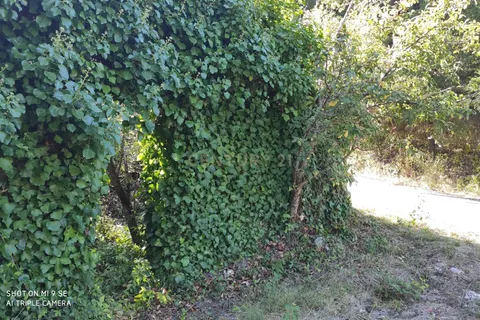 Helårsgrund i Leiria, Leiria, Leiria - € 80.000 | Ref: 1746-01384 - foto 6