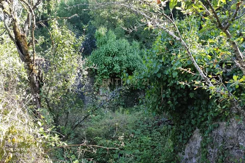Helårsgrund i Leiria, Leiria, Leiria - € 80.000 | Ref: 1746-01384 - foto 11