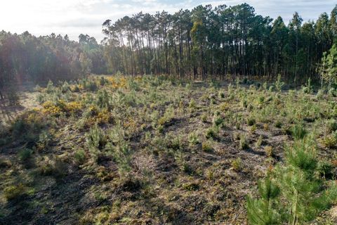 Helårsgrund i Leiria, Leiria, Leiria - € 120.000 | Ref: 1746-01540 - foto 3