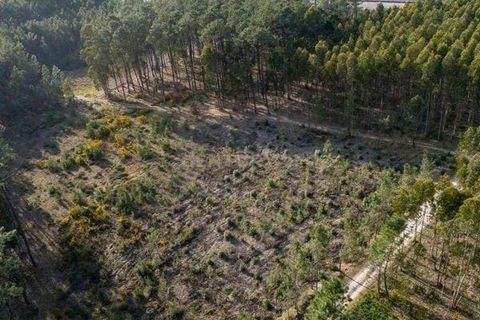 Helårsgrund i Leiria, Leiria, Leiria - € 120.000 | Ref: 1746-01540 - foto 4