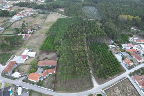 Helårsgrund i Leiria, Leiria, Leiria - € 102.300 | Ref: 1746-02380 - foto 2