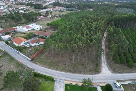 Helårsgrund i Leiria, Leiria, Leiria - € 102.300 | Ref: 1746-02380 - foto 3