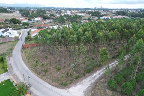 Helårsgrund i Leiria, Leiria, Leiria - € 102.300 | Ref: 1746-02380 - foto 4