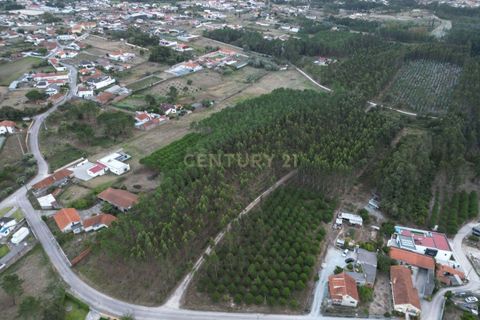Helårsgrund i Leiria, Leiria, Leiria - € 102.300 | Ref: 1746-02380 - foto 5