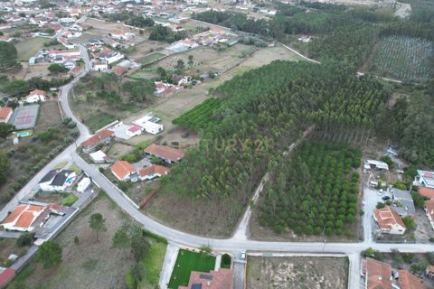 Helårsgrund i Leiria, Leiria, Leiria - € 102.300 | Ref: 1746-02380 - foto 7