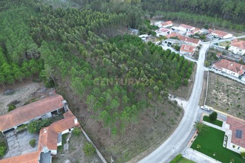Helårsgrund i Leiria, Leiria, Leiria - € 102.300 | Ref: 1746-02380 - foto 8
