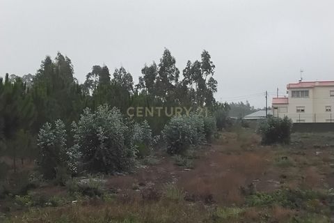 Helårsgrund i Pombal, Leiria, Pombal - € 80.000 | Ref: 1746-02703 - foto 4