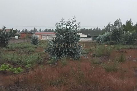 Helårsgrund i Pombal, Leiria, Pombal - € 80.000 | Ref: 1746-02703 - foto 7