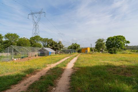 Villa i Alcobaca, Leiria, Alcobaca - € 275.000 | Ref: 1746-02829 - foto 18