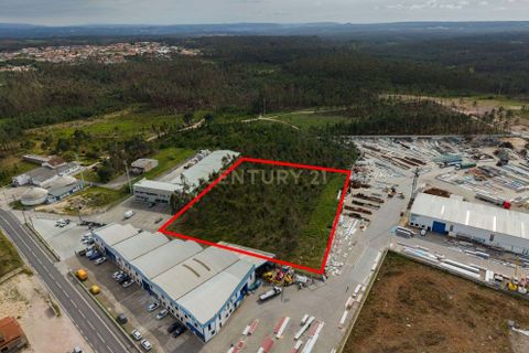 Helårsgrund i Leiria, Leiria, Leiria - € 399.500 | Ref: 1746-02840 - foto 22
