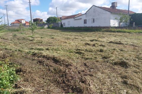 Helårsgrund i Leiria, Leiria, Leiria - € 42.000 | Ref: 1746-02848 - foto 6