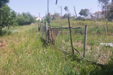 Helårsgrund i Leiria, Leiria, Leiria - € 120.000 | Ref: 1746-02856 - foto 3