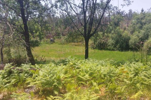 Helårsgrund i Leiria, Leiria, Leiria - € 120.000 | Ref: 1746-02856 - foto 4