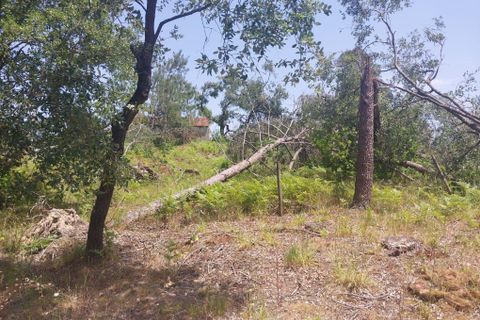 Helårsgrund i Leiria, Leiria, Leiria - € 120.000 | Ref: 1746-02856 - foto 5