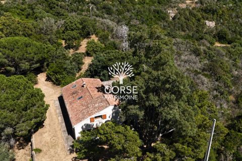 Landsbyhus i Sotta, Corse-du-Sud, Sotta - € 789.500 | Ref: M2845 - foto 1