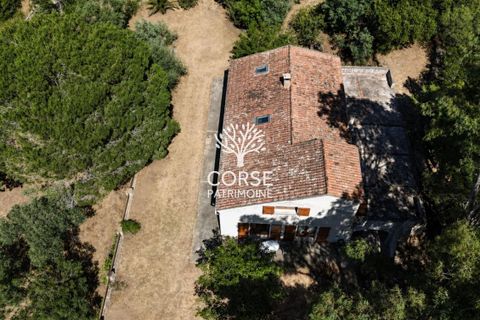 Landsbyhus i Sotta, Corse-du-Sud, Sotta - € 789.500 | Ref: M2845 - foto 2