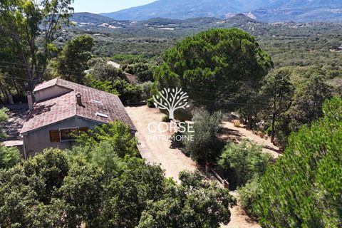 Landsbyhus i Sotta, Corse-du-Sud, Sotta - € 789.500 | Ref: M2845 - foto 3