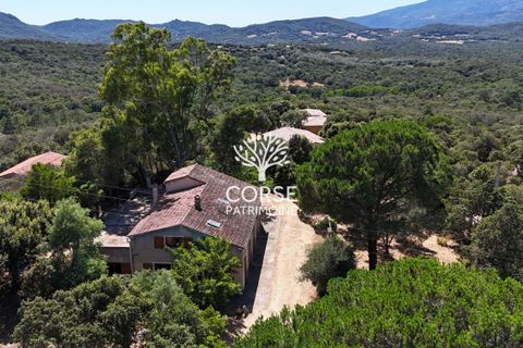 Landsbyhus i Sotta, Corse-du-Sud, Sotta - € 789.500 | Ref: M2845 - foto 15