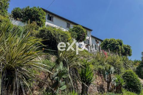 Landejendom i Lucca, Lucca, Lucca - € 970.000 | Ref: exp-011922 - foto 4