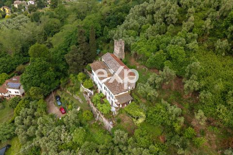 Landejendom i Lucca, Lucca, Lucca - € 970.000 | Ref: exp-011922 - foto 32