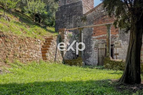 Landejendom i Lucca, Lucca, Lucca - € 970.000 | Ref: exp-011922 - foto 41